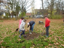 Streuobstwiese 2015